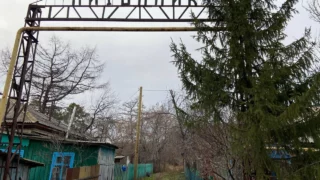 В Любино сохранят уникальный лес
