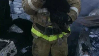 Омские огнеборцы спасли собаку из пожара