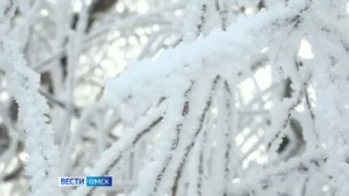 Аномальные морозы продержатся в Омской области до конца рабочей недели