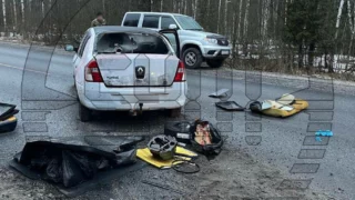 Двое из предполагаемых подозреваемых в теракте в «Крокус сити холле» задержаны в Брянской области