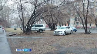 В Омске автомобилисты продолжают парковаться на газонах