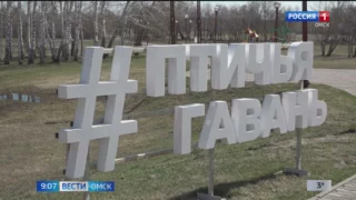 Сотрудники Омского завода «Газпромнефть – смазочные материалы» провели экологическую акцию