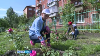 Больше 80 миллионов рублей выделят на летнее трудоустройство несовершеннолетних