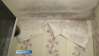 Настоящее бедствие сейчас терпят жители микрорайона Ясная поляна