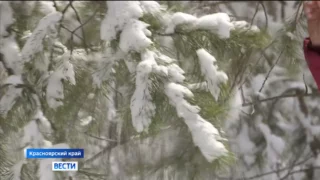 За ночь в Красноярск вернулась настоящая зима