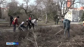 Виталий Хоценко поручил городским властям убрать мусор с субботника до понедельника