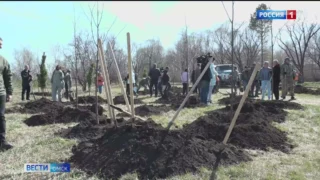 Омичи присоединились сразу к двум акциям — «Саду памяти» и общероссийскому субботнику