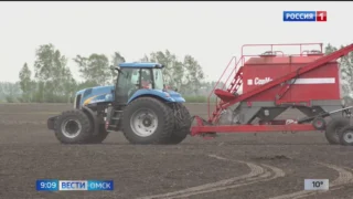 В Омской области завершается посевная кампания