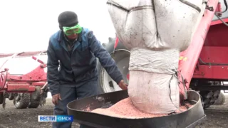 В Омской области официально стартует посевная кампания