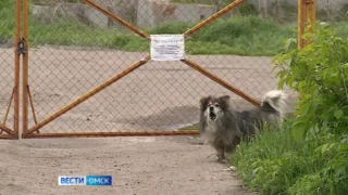 В Омске подтапливает Красноярский тракт
