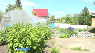 На выходных омичам снова придётся достать тёплые вещи