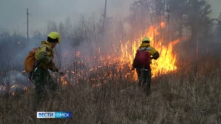 Федеральная Авиалесоохрана не включила Омскую область в карту рисков ЧС