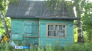 Собачья жизнь не дает пока целому садоводству в городке Нефтяников