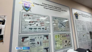 Сегодня профессиональный праздник у российских следователей