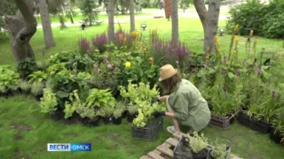 В Омске готовится к открытию цветочная выставка «Флора»