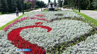 В центре Омска на улице Спартаковская появилась клумба в виде официального логотипа Года семьи