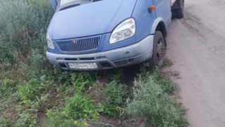 В области нетрезвая омичка сбила ребенка