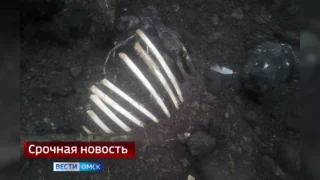 В Калачинском районе обнаружен скотомогильник