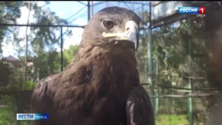 Большереченский зоопарк отпразднует свой День рождения