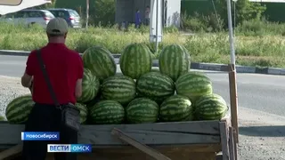 В Омской области в этом году не удалось получить урожай арбузов
