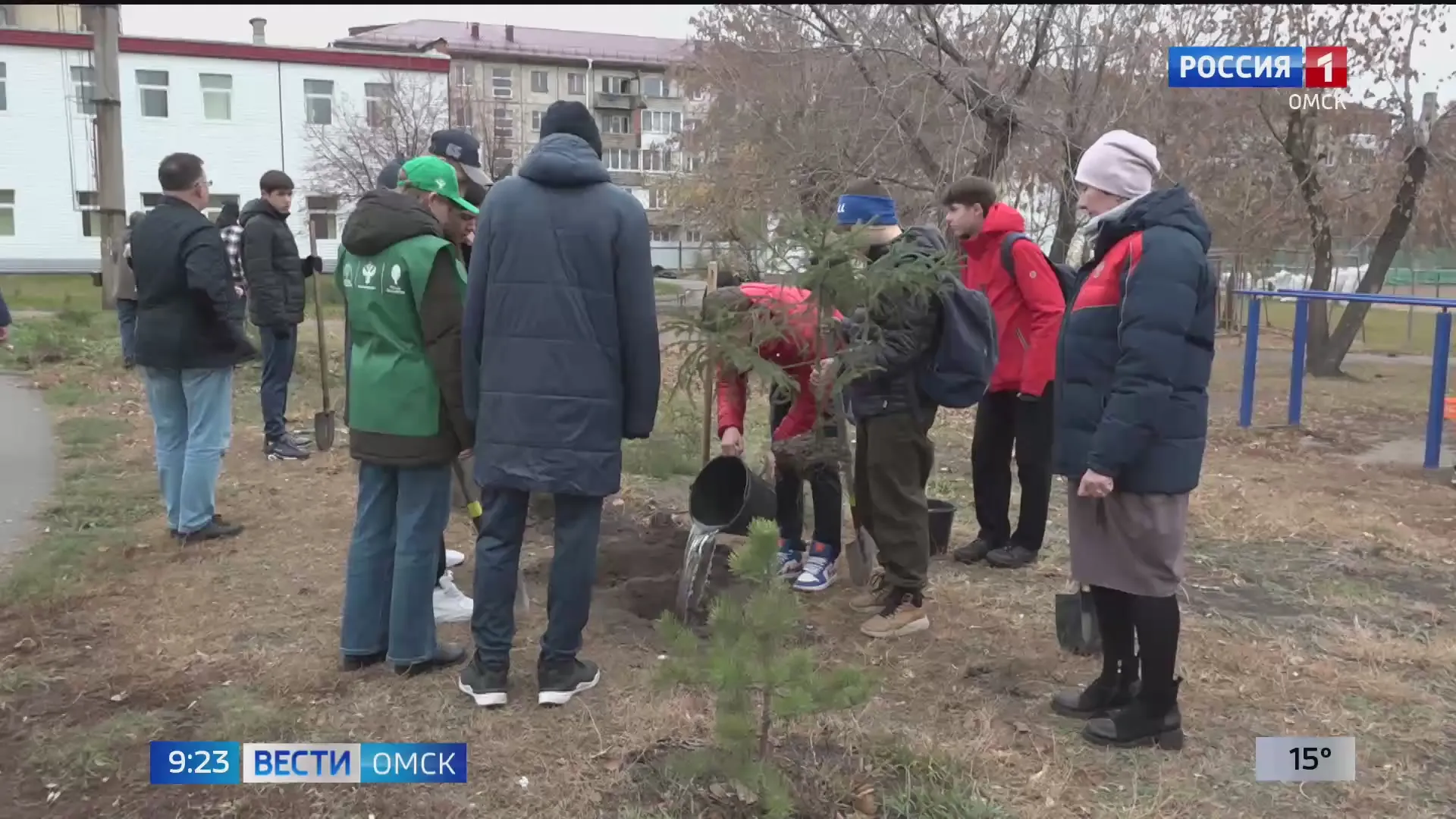 В Омске закупают деревья для осенних посадок