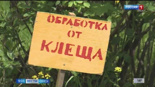 В Омске начинается осенняя обработка общественных пространств от клещей