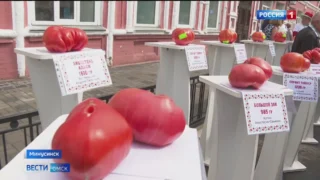 Сибиряки установили свои рекорды