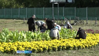 1735 омских школьников трудоустроили этим летом в городе в рамках проекта «Трудовое лето-2024»