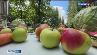 Настоящий фестиваль в честь Яблочного спаса развернулся в саду Комиссарова в Омском районе