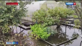 Откачивать воду с затопленных деревень, а также дачных участков в Омске начали еще в августе