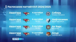 Омский «Авангард» сразится на льду с новосибирской «Сибирью»