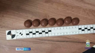 Наркодилера-кондитера из Омска задержали в соседней Тюмени