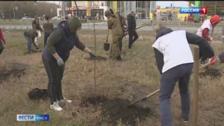 В Омске пройдет осенний общегородской субботник