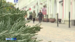 В Омске ожидаются заморозки