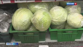 В Омской области не только рекордный урожай, но и рекордное снижение цен на сезонные овощи