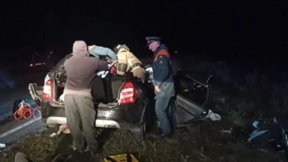 В Омской области ДТП из-за выбежавшего на дорогу лося унесло жизни четырех человек