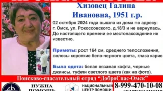 В Омске пропала женщина! Нужна помощь добровольцев!