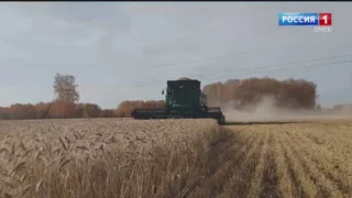 В Омской области загорелся прямо в поле комбайн