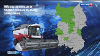 Омские аграрии идут на рекорд — обработано более 3,7 миллионов тонн зерна