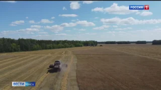 Омские аграрии собрали с полей рекордный урожай зерна