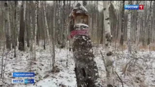 Жители Тары Омской области заподозрены в незаконной рубке деревьев