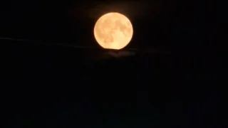 Омичи этой ночью смогут увидеть Бобровую Луну
