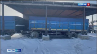 В Омске целая ОПГ из иностранцев похитила зерно у фермеров на 20 миллионов рублей