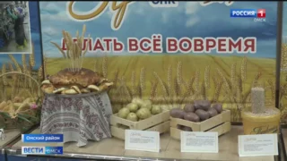 Аграрии омского района этой осенью собрали рекордный урожай картофеля