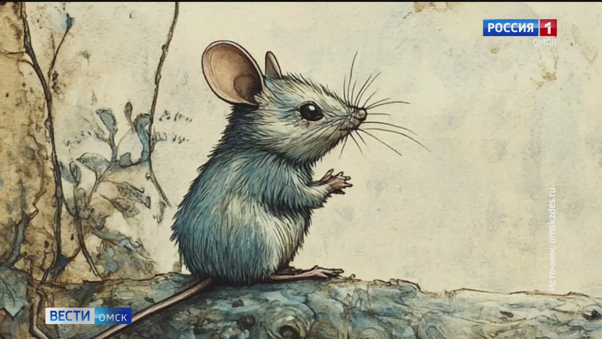 В Омске презентуют уникальный сборник «Сказки Омского Прииртышья»