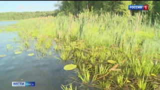 Знаменитые муромцевские пять озёр должны стать ещё более привлекательными для посещения туристов