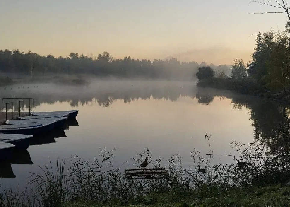 На дачах Омской области стало тише