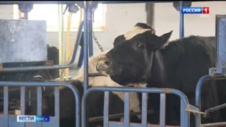 В Омске стартует новая мера поддержки для участников и ветеранов СВО