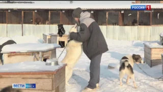 Спустя год пес по кличке Макс вернулся к себе домой