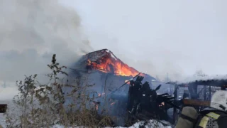 В Омской области пожар в сарае унес жизни животных и птиц